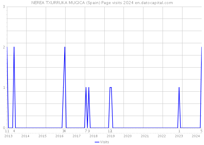 NEREA TXURRUKA MUGICA (Spain) Page visits 2024 