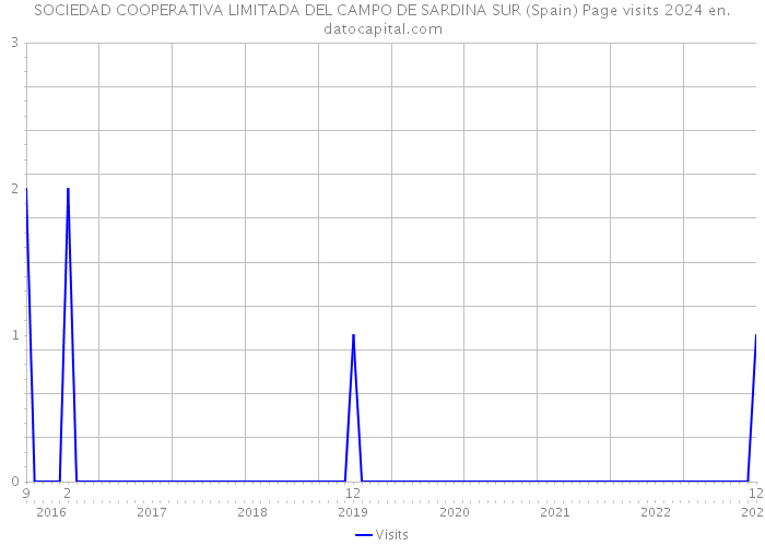 SOCIEDAD COOPERATIVA LIMITADA DEL CAMPO DE SARDINA SUR (Spain) Page visits 2024 