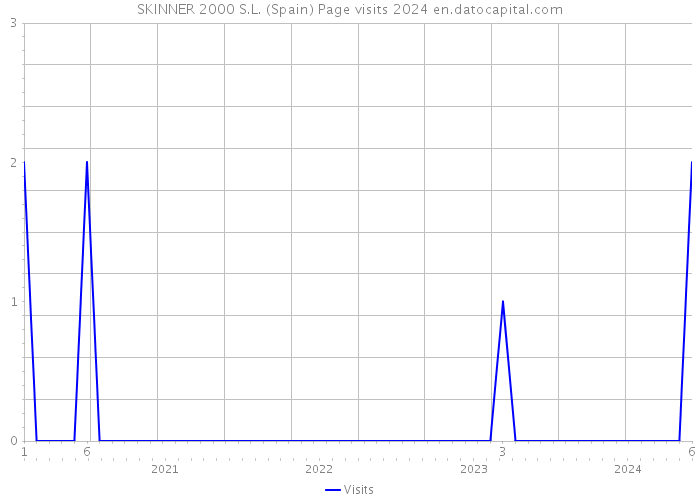 SKINNER 2000 S.L. (Spain) Page visits 2024 