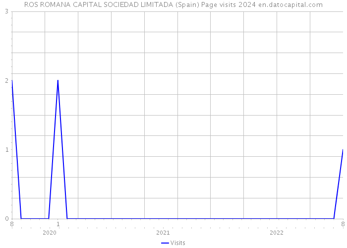ROS ROMANA CAPITAL SOCIEDAD LIMITADA (Spain) Page visits 2024 