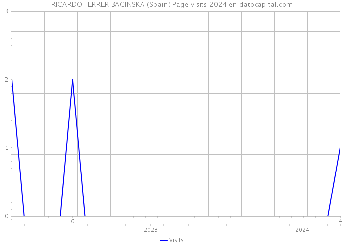 RICARDO FERRER BAGINSKA (Spain) Page visits 2024 