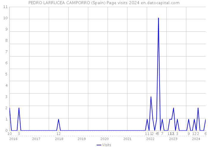 PEDRO LARRUCEA CAMPORRO (Spain) Page visits 2024 