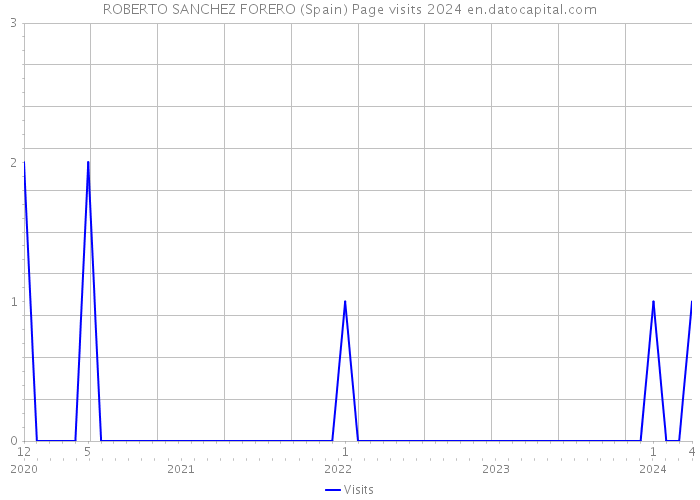 ROBERTO SANCHEZ FORERO (Spain) Page visits 2024 