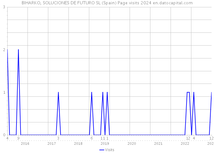 BIHARKO, SOLUCIONES DE FUTURO SL (Spain) Page visits 2024 