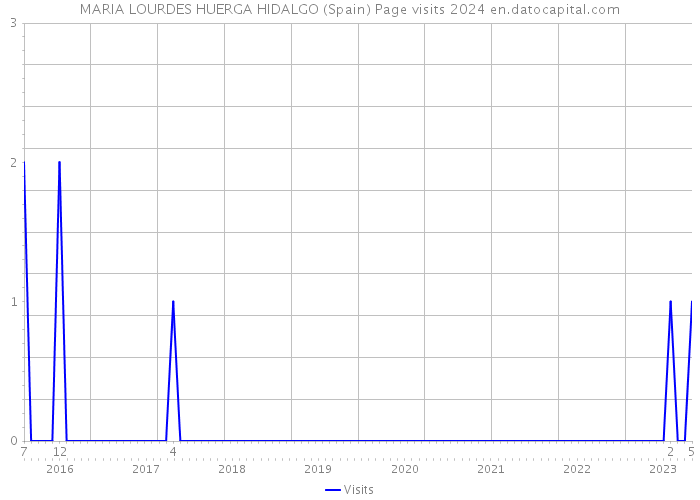 MARIA LOURDES HUERGA HIDALGO (Spain) Page visits 2024 