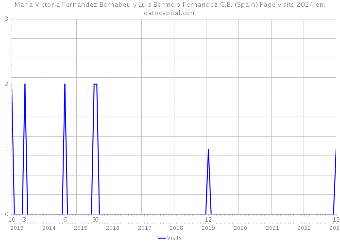 Maria Victoria Fernandez Bernabeu y Luis Bermejo Fernandez C.B. (Spain) Page visits 2024 