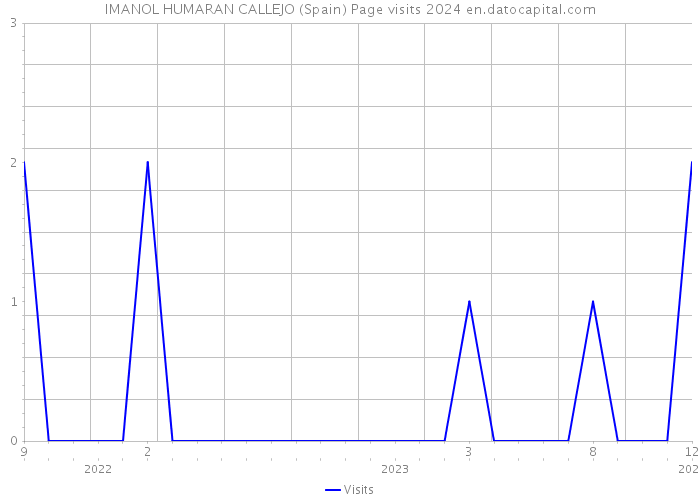 IMANOL HUMARAN CALLEJO (Spain) Page visits 2024 