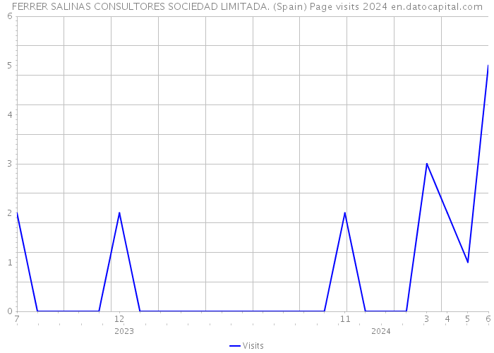 FERRER SALINAS CONSULTORES SOCIEDAD LIMITADA. (Spain) Page visits 2024 