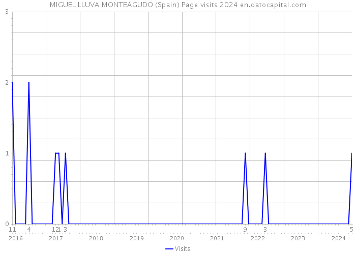 MIGUEL LLUVA MONTEAGUDO (Spain) Page visits 2024 