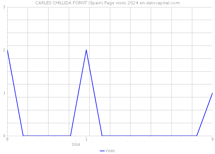 CARLES CHILLIDA FORNT (Spain) Page visits 2024 