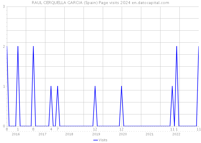 RAUL CERQUELLA GARCIA (Spain) Page visits 2024 