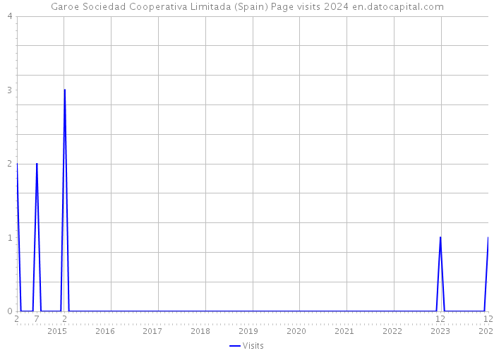 Garoe Sociedad Cooperativa Limitada (Spain) Page visits 2024 