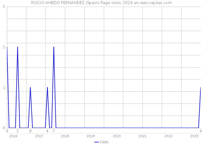 ROCIO AHEDO FERNANDEZ (Spain) Page visits 2024 