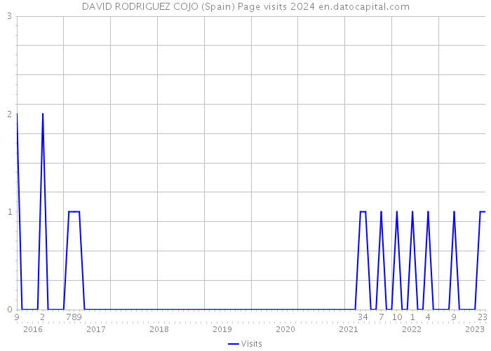 DAVID RODRIGUEZ COJO (Spain) Page visits 2024 