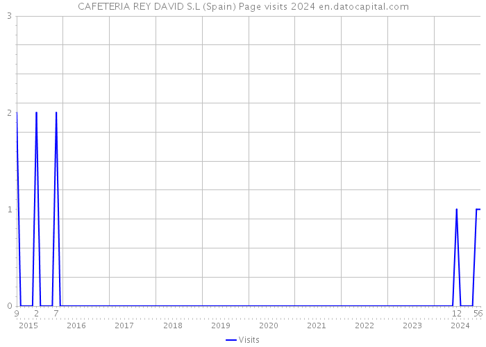 CAFETERIA REY DAVID S.L (Spain) Page visits 2024 