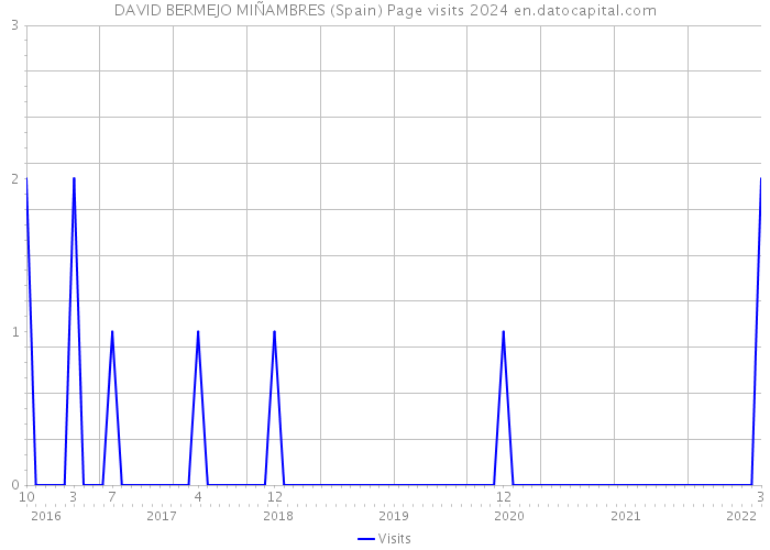 DAVID BERMEJO MIÑAMBRES (Spain) Page visits 2024 