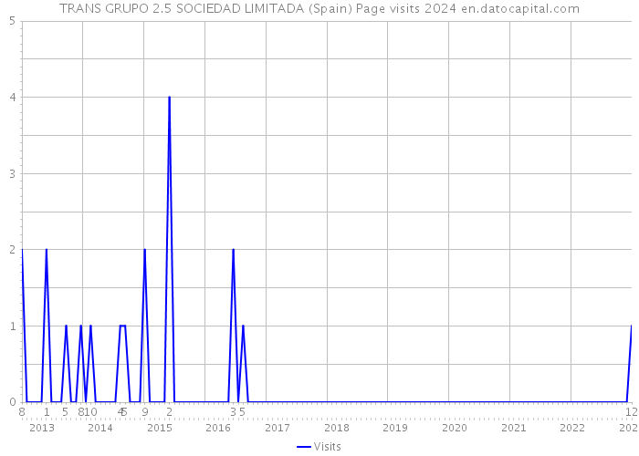 TRANS GRUPO 2.5 SOCIEDAD LIMITADA (Spain) Page visits 2024 