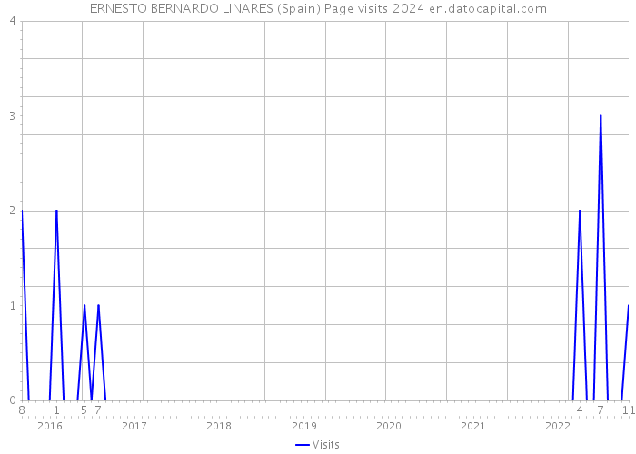 ERNESTO BERNARDO LINARES (Spain) Page visits 2024 