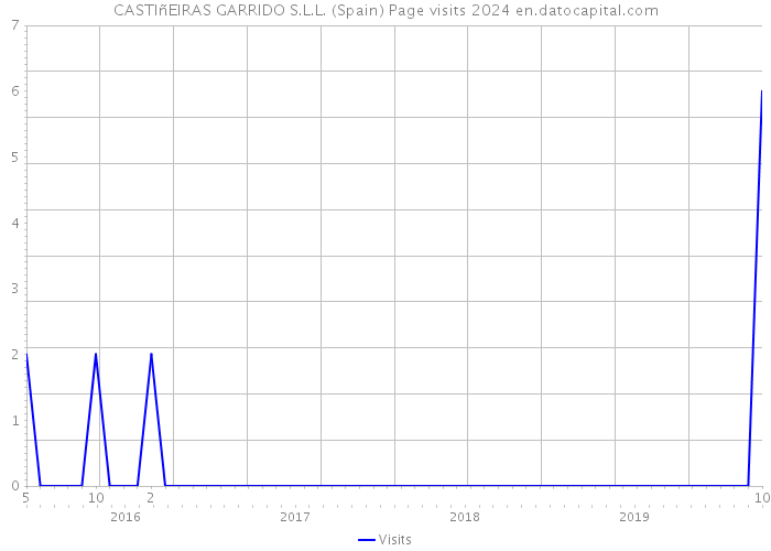 CASTIñEIRAS GARRIDO S.L.L. (Spain) Page visits 2024 