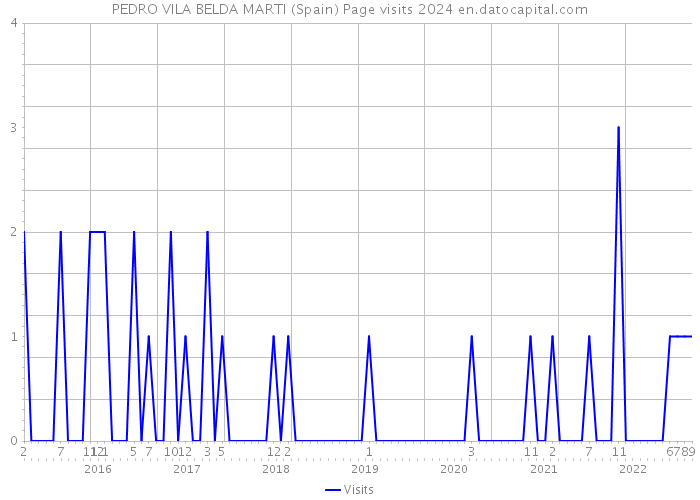 PEDRO VILA BELDA MARTI (Spain) Page visits 2024 