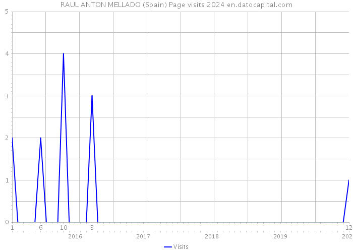 RAUL ANTON MELLADO (Spain) Page visits 2024 