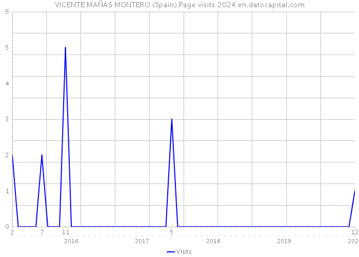 VICENTE MAÑAS MONTERO (Spain) Page visits 2024 