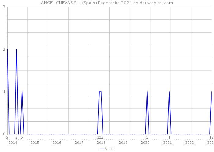 ANGEL CUEVAS S.L. (Spain) Page visits 2024 