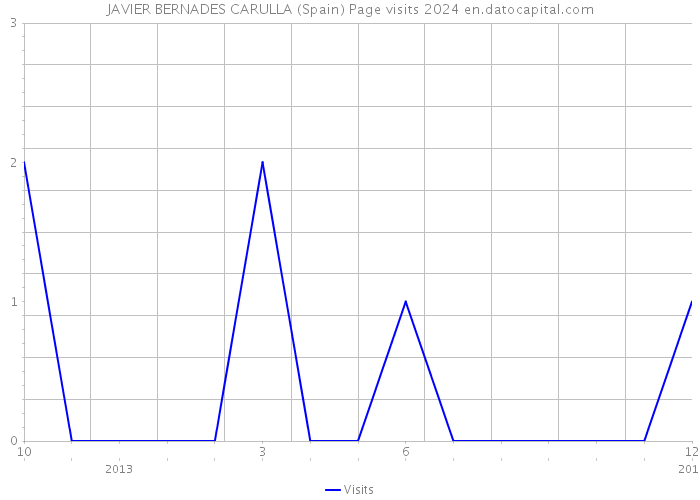 JAVIER BERNADES CARULLA (Spain) Page visits 2024 