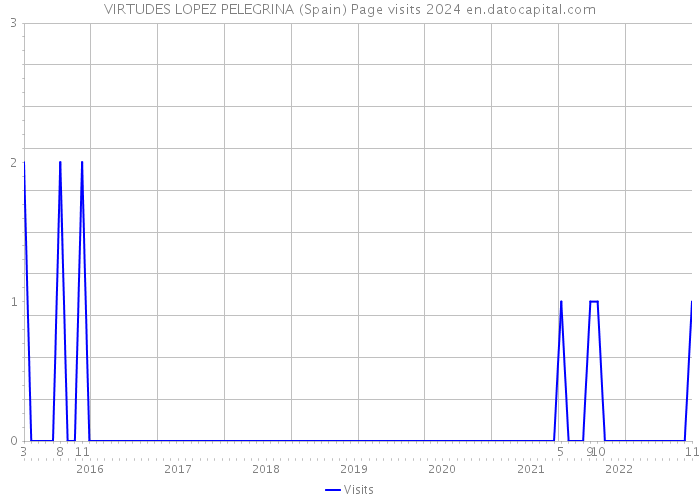 VIRTUDES LOPEZ PELEGRINA (Spain) Page visits 2024 