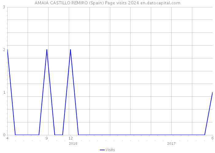 AMAIA CASTILLO REMIRO (Spain) Page visits 2024 