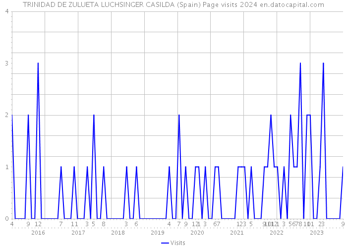 TRINIDAD DE ZULUETA LUCHSINGER CASILDA (Spain) Page visits 2024 