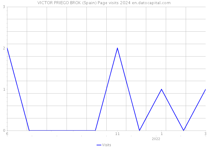 VICTOR PRIEGO BROK (Spain) Page visits 2024 