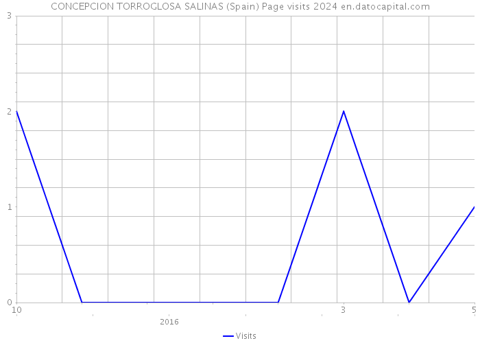 CONCEPCION TORROGLOSA SALINAS (Spain) Page visits 2024 