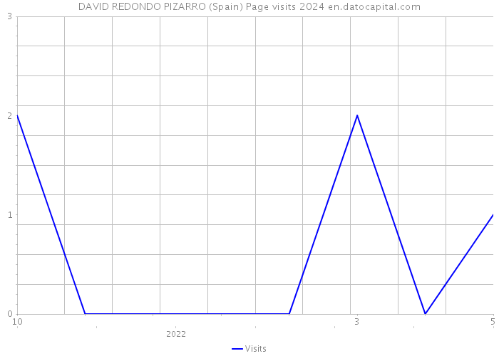 DAVID REDONDO PIZARRO (Spain) Page visits 2024 