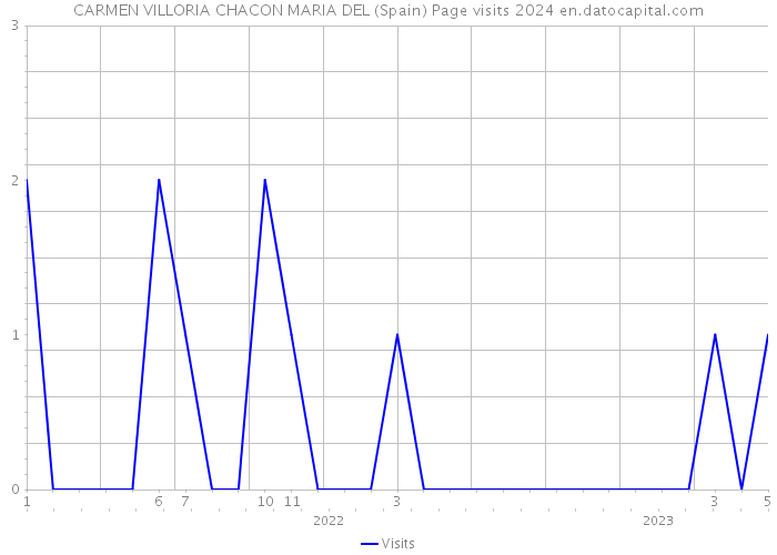 CARMEN VILLORIA CHACON MARIA DEL (Spain) Page visits 2024 