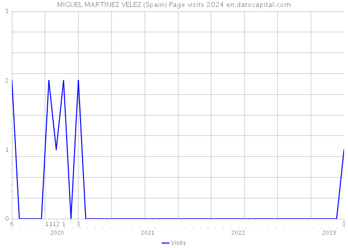 MIGUEL MARTINEZ VELEZ (Spain) Page visits 2024 