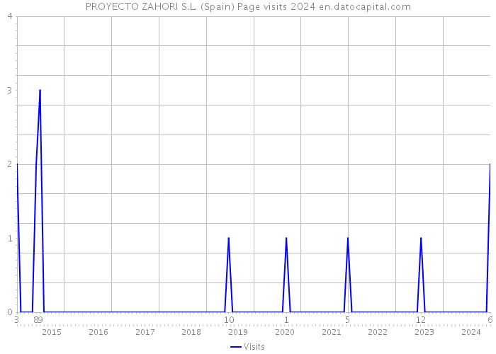 PROYECTO ZAHORI S.L. (Spain) Page visits 2024 