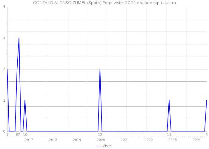 GONZALO ALONSO ZUMEL (Spain) Page visits 2024 