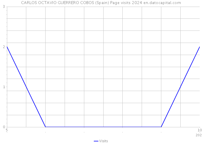 CARLOS OCTAVIO GUERRERO COBOS (Spain) Page visits 2024 