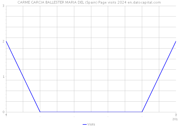 CARME GARCIA BALLESTER MARIA DEL (Spain) Page visits 2024 