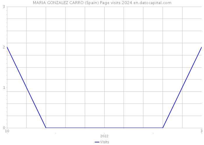 MARIA GONZALEZ CARRO (Spain) Page visits 2024 