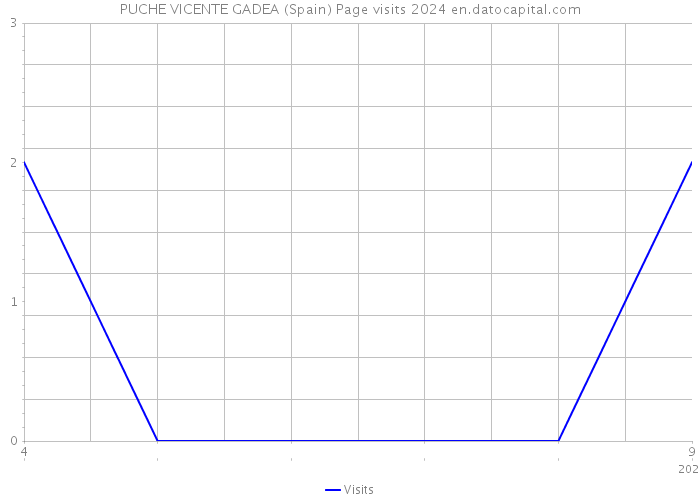 PUCHE VICENTE GADEA (Spain) Page visits 2024 