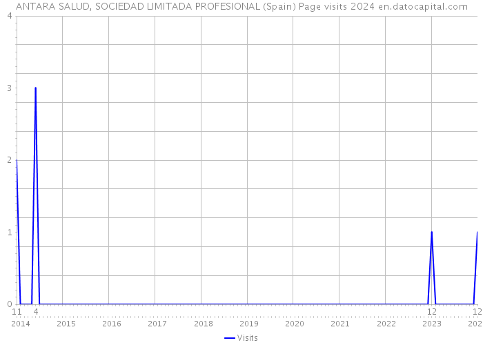 ANTARA SALUD, SOCIEDAD LIMITADA PROFESIONAL (Spain) Page visits 2024 