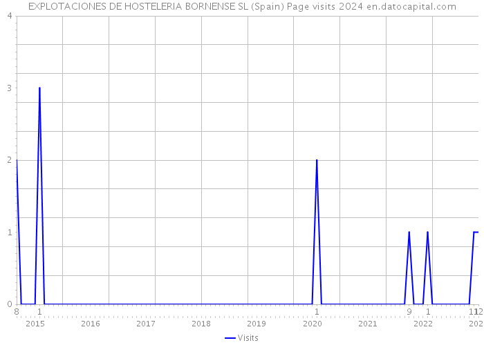 EXPLOTACIONES DE HOSTELERIA BORNENSE SL (Spain) Page visits 2024 