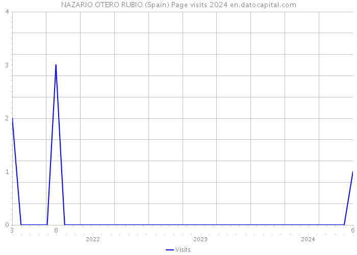 NAZARIO OTERO RUBIO (Spain) Page visits 2024 