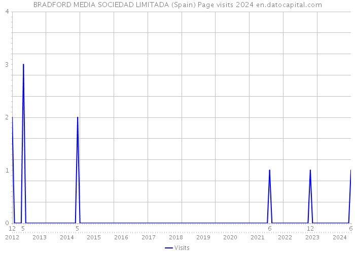 BRADFORD MEDIA SOCIEDAD LIMITADA (Spain) Page visits 2024 