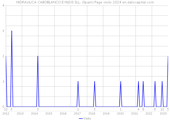 HIDRAULICA CABOBLANCO E HIJOS SLL. (Spain) Page visits 2024 