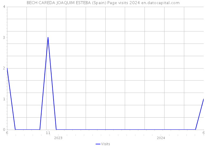 BECH CAREDA JOAQUIM ESTEBA (Spain) Page visits 2024 