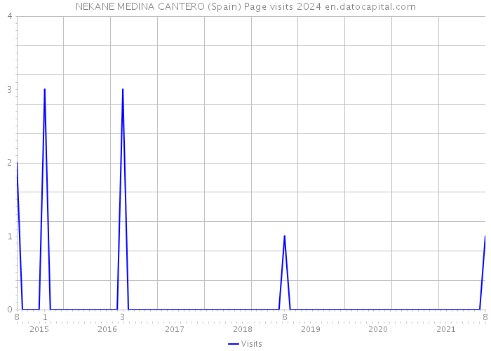 NEKANE MEDINA CANTERO (Spain) Page visits 2024 
