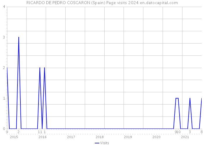 RICARDO DE PEDRO COSCARON (Spain) Page visits 2024 